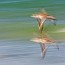 thumbs/IMG_8610.jpg